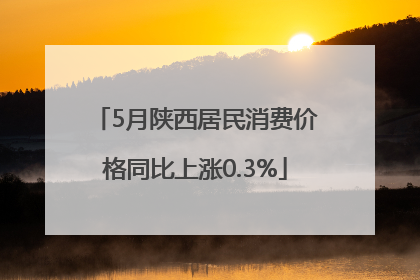 5月陕西居民消费价格同比上涨0.3%