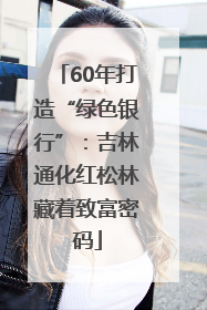 60年打造“绿色银行”：吉林通化红松林藏着致富密码
