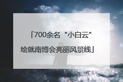 700余名“小白云”绘就南博会亮丽风景线