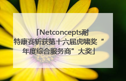 Netconcepts耐特康赛斩获第十六届虎啸奖“年度综合服务商”大奖
