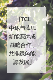 TCL 中环与蓝思新能源达成战略合作，共推绿色能源发展